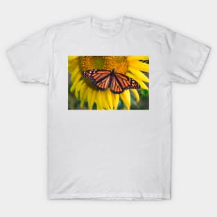 Sunflower and butterfly, Hebron MD USA T-Shirt